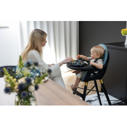 Стульчик для кормления Espiro Yuko, Blue Style